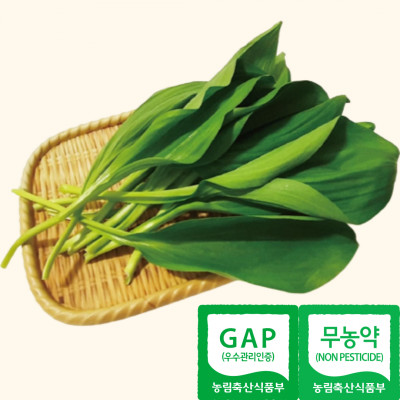 무농약 울릉도 생 명이나물 생채 산마늘 잎 1kg